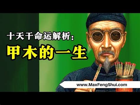 震木命|【震木命】「探索震木命的奧秘—揭開木形人的性格與婚姻」